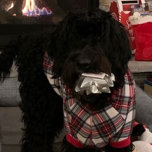 Meet your Posher, Tonya